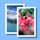 Digital pictures recovery software