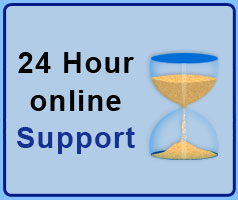 24 hour online support